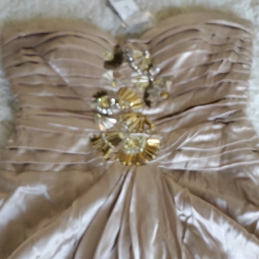Dress - Picture 2 of 2